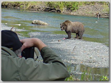 Bear Viewer Photographs Bear